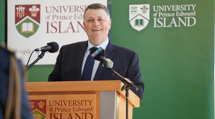 Dennis King shuffles his cabinet – Toronto Star