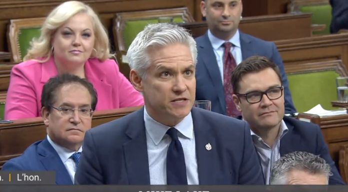 Liberals to create autism framework after Conservative bill passes – CTV News