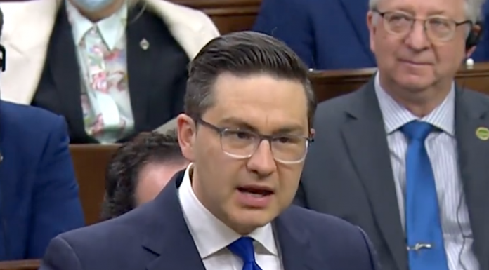 Poilievre asks CRA to audit Trudeau Foundation – CBC News