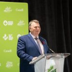 P.E.I. PCs table bill aiming to ease barriers for international doctors, nurses – Saltwire News