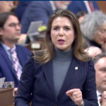 Liberals defend attempt to amend gun bill to ban future firearms – CTV News