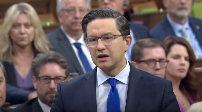 Liberal strongholds under threat, ballot and leadership support slipping – CTV News