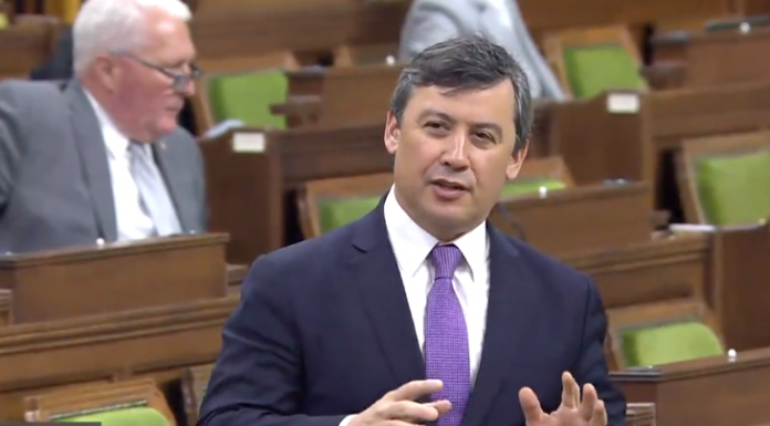 MP Chong says Canada needs to ‘catch up’ on national security – CBC News