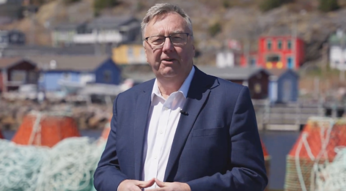 Tony Wakeham wins PC leadership, setting stage for next election – CBC News