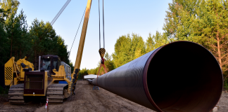 Pipeline / Canva Pro